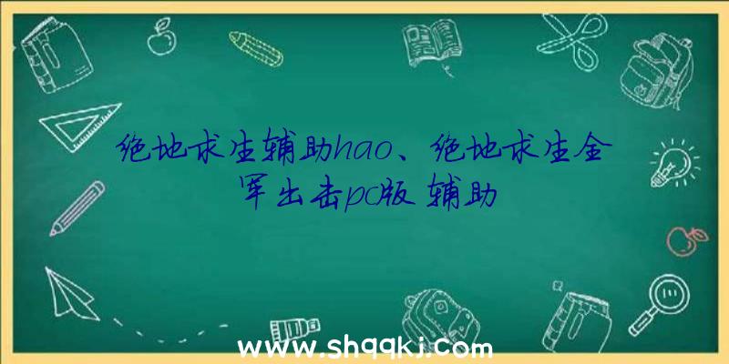 绝地求生辅助hao、绝地求生全军出击pc版